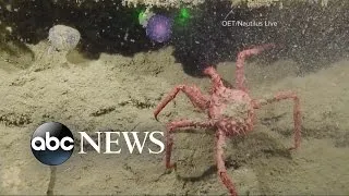 Mysterious Underwater Orb Baffles Scientists