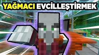 Yağmacı Evcilleştirme! (Clickbait Değil/ Modsuz)