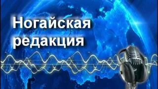 Радиопрограмма "С новым годом, друзья" 28.12.16