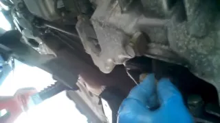 BMW Differential Fluid Change