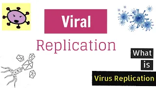 New Viral Replication