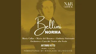 Norma, IVB 20, Act I: "Fine al rito, e il sacro bosco" (Norma, Coro)