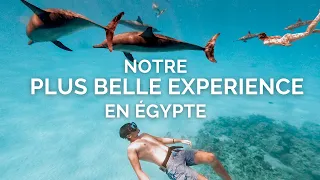 NAGER AVEC LES DAUPHINS, COMME DANS UN RÊVE !