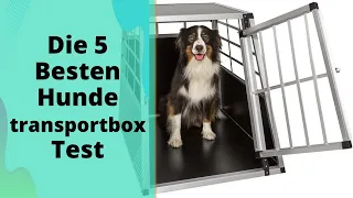 Die 5 Besten Hundetransportbox Test 2023