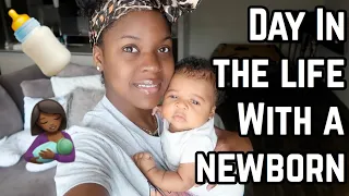A DAY IN THE LIFE WITH A NEWBORN BABY | 6 WEEKS OLD | MOM VLOG