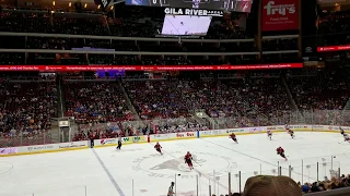 Arizona Coyotes Goal