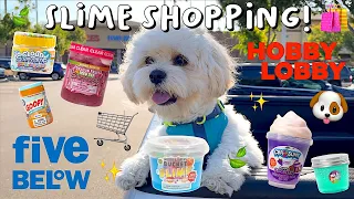 Buying slime with my dog at Five Below & Hobby Lobby 🐶🛍✨