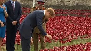 Raw: Royals Visit Tower of London WWI Tribute