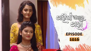 Tarini Akhira Tara | Full Ep 1016 | 5th May 2021 | Odia Serial – TarangTV