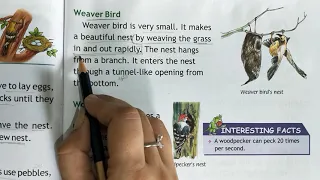 Class - 3 | Ch - 7 | Nesting Habits of Birds