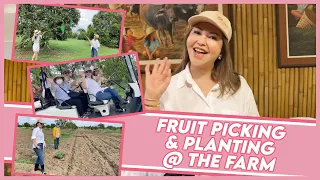 SMALL TRIES "ARARO" AND FRUIT PICKING AT THE FARM | Small Laude