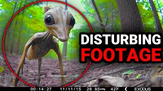 Mega Compilation of Disturbing Trail Cam Footage