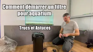 Comment démarrer un filtre pour aquarium (🐠Floraquatic🌱)