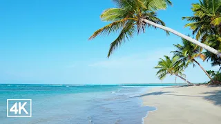 [4K] 🇲🇽 White Sand Beach Relaxing Waves Sounds for Sleep, Insomnia, Study or Work | 8 hours