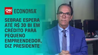 Sebrae espera até R$ 30 bi em crédito para pequeno empreendedor, diz presidente | CNN NOVO DIA