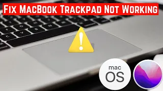 How to Fix MacBook Trackpad Not Working Macbook Pro Macbook Air MacOS BigSur Fixed 2022