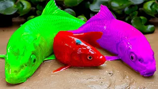 Stop Motion ASMR Pool Fishing -  Catfish Egg Movement Carp Duckling, Crocodile, Goldfish Compilation