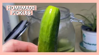 Easy Homemade Pickles || how to pickle cucumbers at home? #shorts
