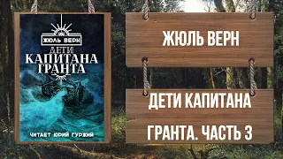 ЖЮЛЬ ВЕРН - ДЕТИ КАПИТАНА ГРАНТА - ЧАСТЬ 3