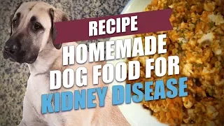 Homemade Dog Food for Kidney Disease Recipe (Simple and Cheap)