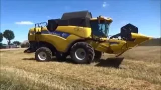 Żniwa 2016 / NewHolland / Bizon/ - Harvest 2016 ( żyto , pszenica i mieszanka) ''HD''