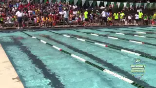 2015 - Finals - Event - 46 - Heat - 1 - Boys 15-18 100 Breaststroke