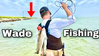 WADE FISHING the Texas City Dike for SPECKLED TROUT! (Catch and Cook)