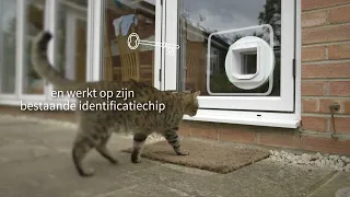 Microchip Kattenluik