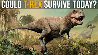Could T-Rex Survive Nowadays?
