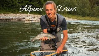 ALPINE DRIES | Dry Fly Fishing for Brown Trout and Rainbow Trout