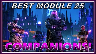 The BEST Damage Companions in Module 25! (tested over 190) - Neverwinter