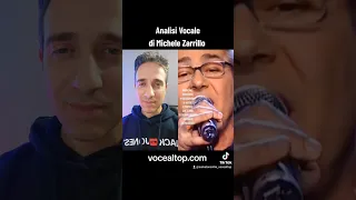 Analisi vocale di Michele Zarrillo, di Salvatore Cilia