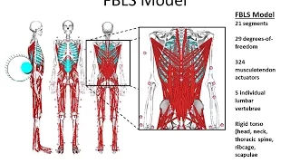 Webinar: Investigating Jogging Biomechanics using the Full Body Lumbar Spine Model