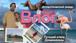 Улетели в Доминикану 🇩🇴 Лучший отель в Пунта Кане | Требовали сменить номер | Океан | Драконы |