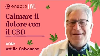 Calmare il dolore con il CBD