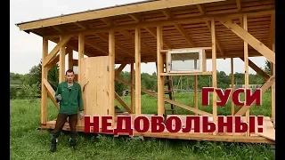 Гуси недовольны!//Колодец или СКВАЖИНА?!