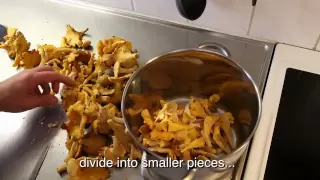 How to cook chanterelles! Lets follow "The Chanterelle King".