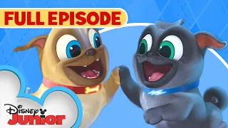 Puppy Dog Pals S1 E1 Full Episode 🐶 | Hawaii Pug-Oh 🏝️ / A.R.F. | @disneyjunior