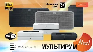 Bluesound мультирум и экосистема ✓ Hi-Fi по Wi-Fi ✓ Hi-Res без проводов