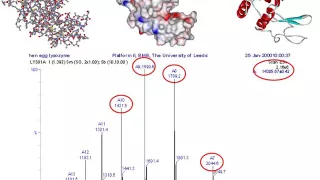 Mass spectrometry for proteomics - part one