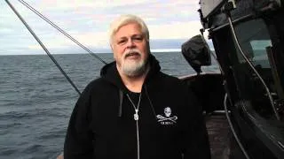 A Special Message From Captain Paul Watson on the Victory in the Southern Ocean!