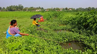 Fishing Video || You will be surprised to see the fishing talent of the village lady || Fish hunting