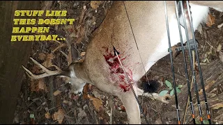 The Slough Crossing Buck // Traditional Bowhunt // Public Land