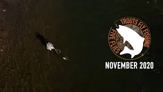 Five Flies for November 2020 || Fly Fishing the Colorado River featuring Tanner Smith