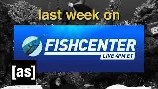 FishCenter Recap 4/17/17 | FishCenter | Adult Swim