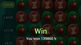 apple of fortune 🍎 big win