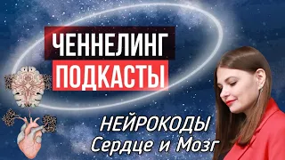 Подкаст НЕЙРОКОДЫ - соединяем Сердце и Мозг #Ченнелинг