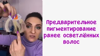 ✅Предварительное пигментирование волос