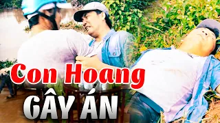 CON HOANG GÂY ÁN | Truy Tìm Bằng Chứng 2024 | Ký Sự Pháp Đình THVL | Chuyện Cảnh Giác Mới 2024 THVL