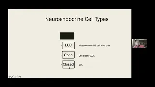 15 Approach to a patient with incidentally detected neuro endocrine tumour   Dr A S Puri